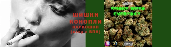марки lsd Бородино